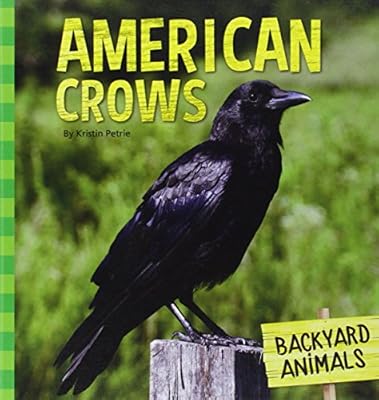American Crows