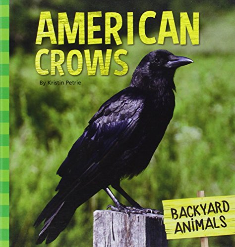 American Crows by Kristin Petrie