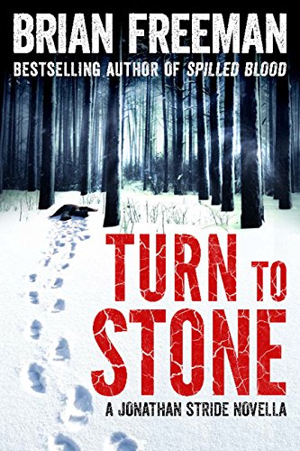 Turn to Stone by Brian Freeman