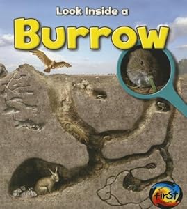 Burrow: Look Inside