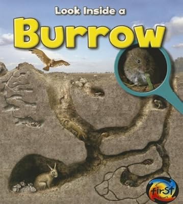 Burrow: Look Inside