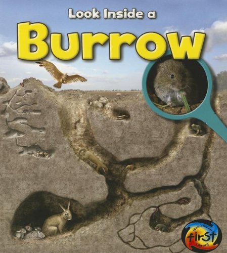 Burrow: Look Inside by Richard Spilsbury