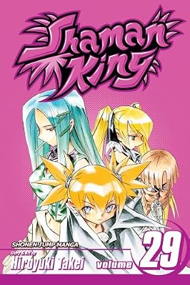 Shaman King, Vol. 29