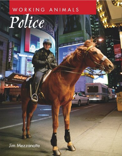 Police by Jim Mezzanotte