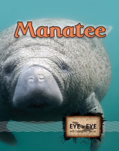 Manatees by Precious McKenzie