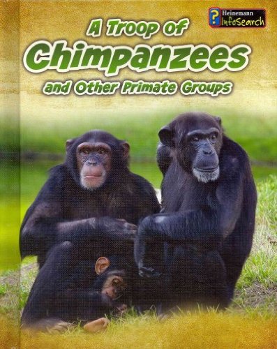 A Troop of Chimpanzees: and Other Primate Groups by Richard Spilsbury