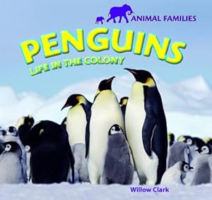 Penguins: Life in the Colony (Animal Families)
