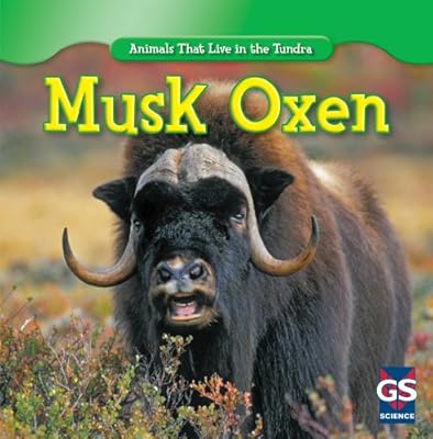 Musk Oxen
