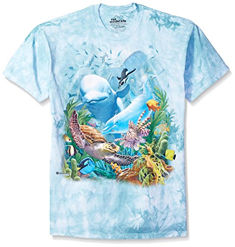 Algopix Similar Product 6 -