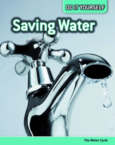 Saving Water: The Water Cycle (Do It Yourself) by Buffy Silverman