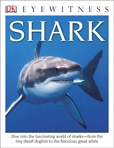 DK Eyewitness Books: Shark by Miranda MacQuitty