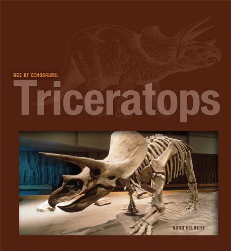 Triceratops by Sara Gilbert