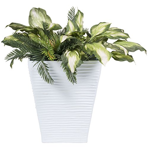 Algopix Similar Product 15 -