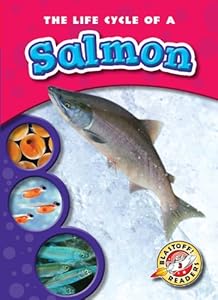 The Life Cycle of a Salmon