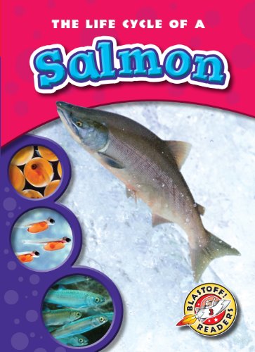 The Life Cycle of a Salmon by Colleen Sexton