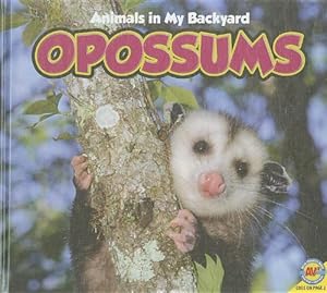 Opossums by Jordan McGill