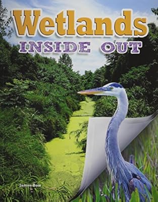 Wetlands inside out