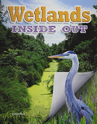 Wetlands inside out by James Bow