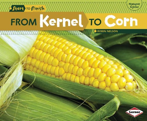 From Kernel to Corn by Robin Nelson