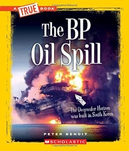 The BP Oil Spill