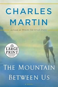 The Mountain Between Us: A Novel