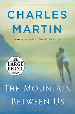 The Mountain Between Us: A Novel