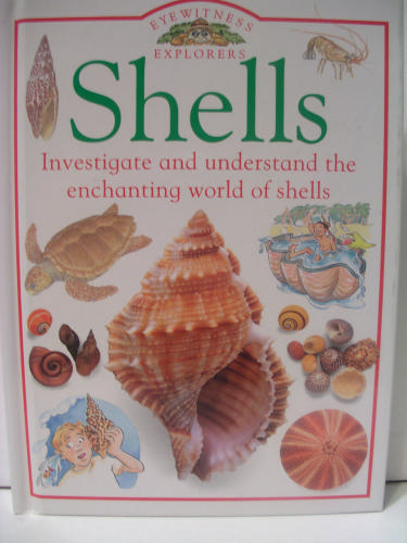 Shells (Eyewitness Explorers) by DK Publishing