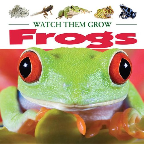Frogs by Annalise Bekkering