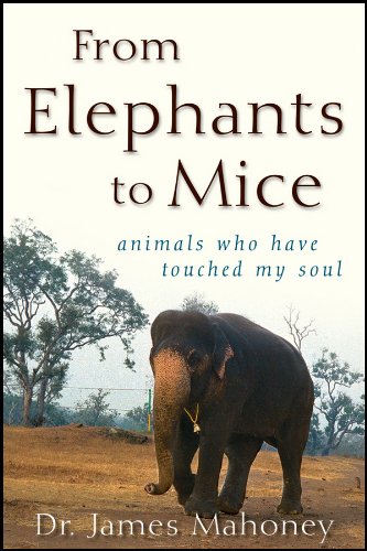 From Elephants to Mice: Animals Who Have Touched My Soul by James Mahoney