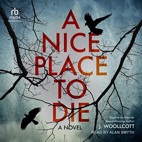A Nice Place to Die: DS Ryan McBride Novel Series, Book 1 by J. Woollcott