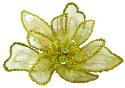 Algopix Similar Product 11 - Cuteque International 6Piece Organza