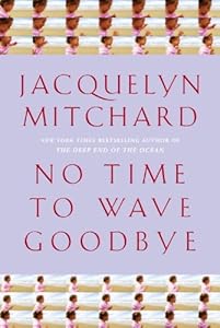 No Time to Wave Goodbye: A Novel
