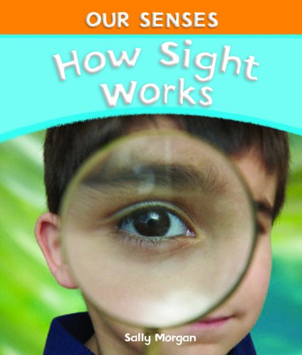 How Sight Works by Sally Morgan
