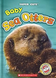 Baby Sea Otters