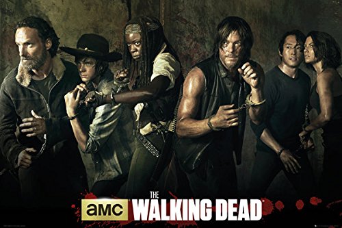 The Walking Dead - TV Show Poster / Print (The Season 5 Cast) (Size: 36