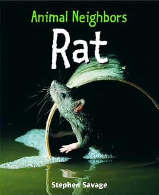 Rat (Animal Neighbors)