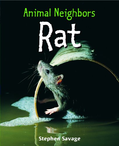 Rat (Animal Neighbors) by Stephen Savage