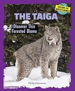 The Taiga: Discover This Forested Biome