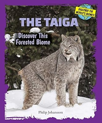 The Taiga: Discover This Forested Biome