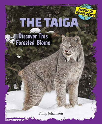 The Taiga: Discover This Forested Biome by Philip Johansson
