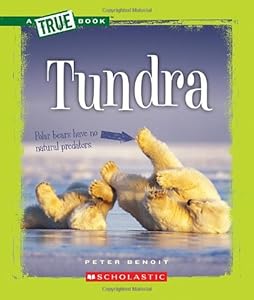 Tundra by Peter Benoit