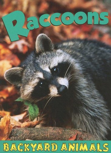 Raccoons (Backyard Animals) by Jennifer Hurtig