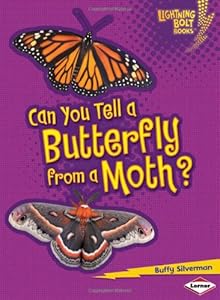 Can You Tell a Butterfly from a Moth?