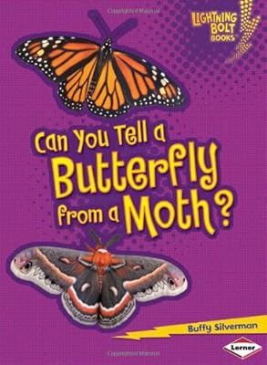 Can You Tell a Butterfly from a Moth?