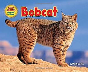 Bobcat