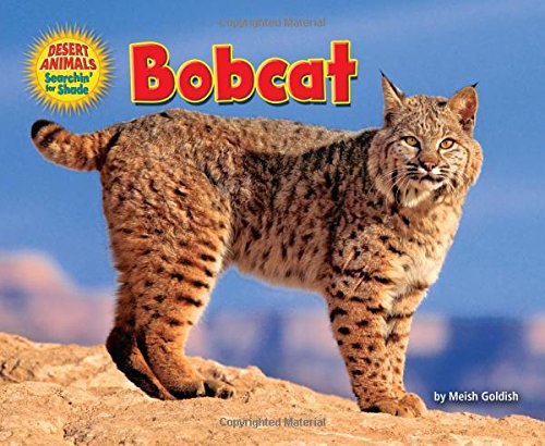 Bobcat by Meish Goldish