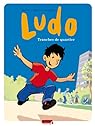 Ludo - Tome 4 - Sales petits voleurs ! : Bailly, Pierre, Mathy, Vincent, Lapière, Denis