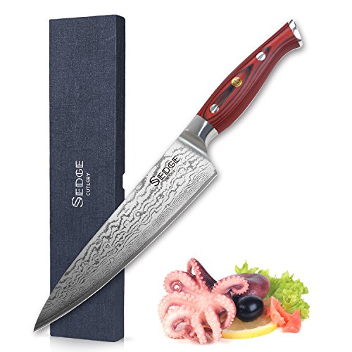 Algopix Similar Product 8 - 