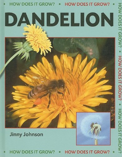 Dandelion by Jinny Johnson