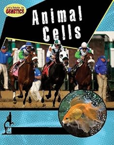 Animal Cells
